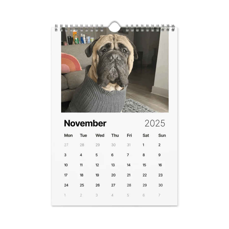 Meech 2025 Wall Calendar product image (6)