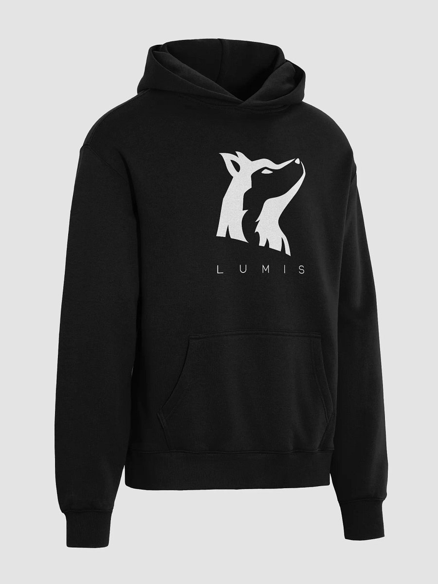 Lumis Oversized Hoodie product image (4)