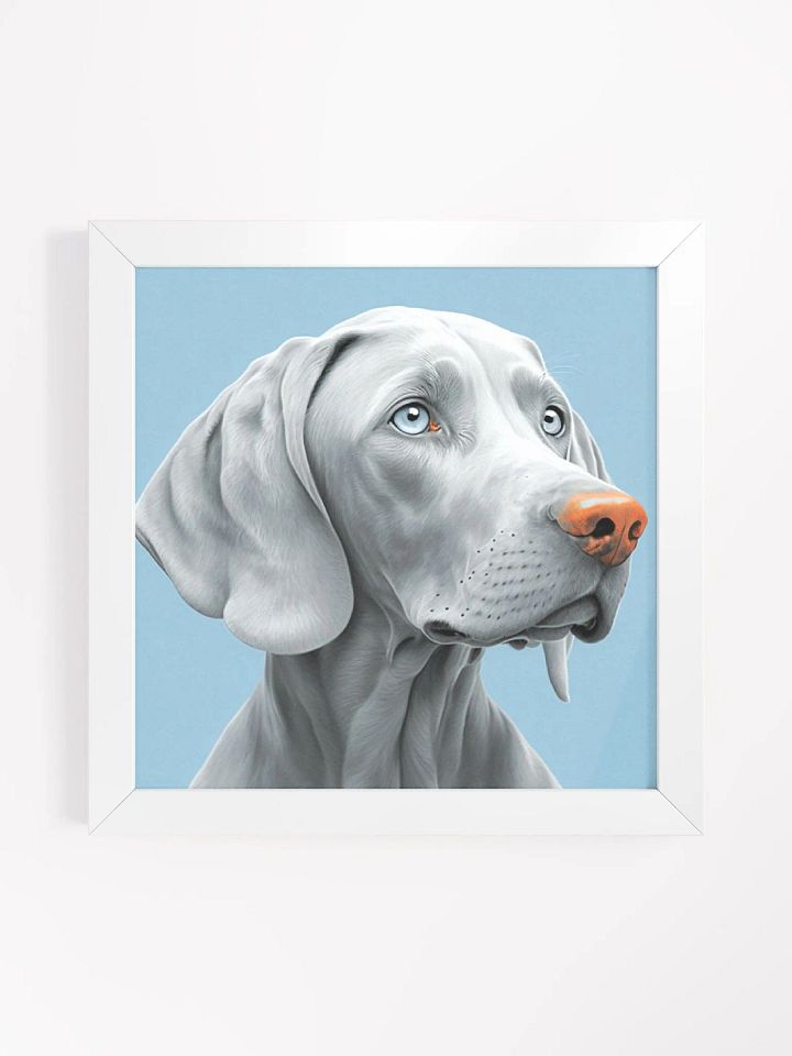 SkyGaze Weim product image (2)