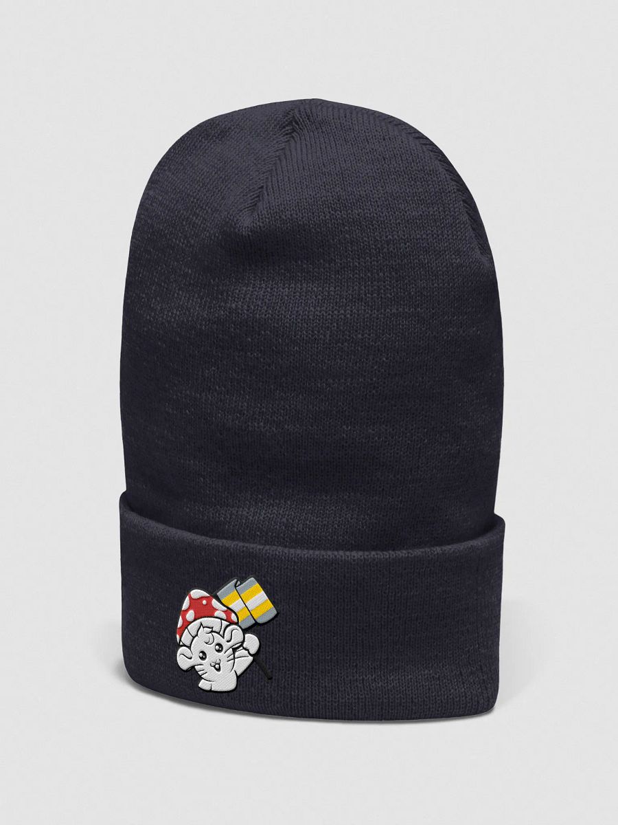 Demigender beanie product image (3)