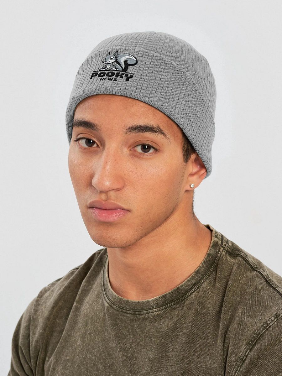 Organic Cotton Embroidered Beanie: Pooky News product image (3)