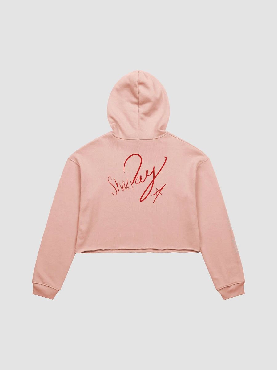 sharPAY Cropped Hoodie product image (2)