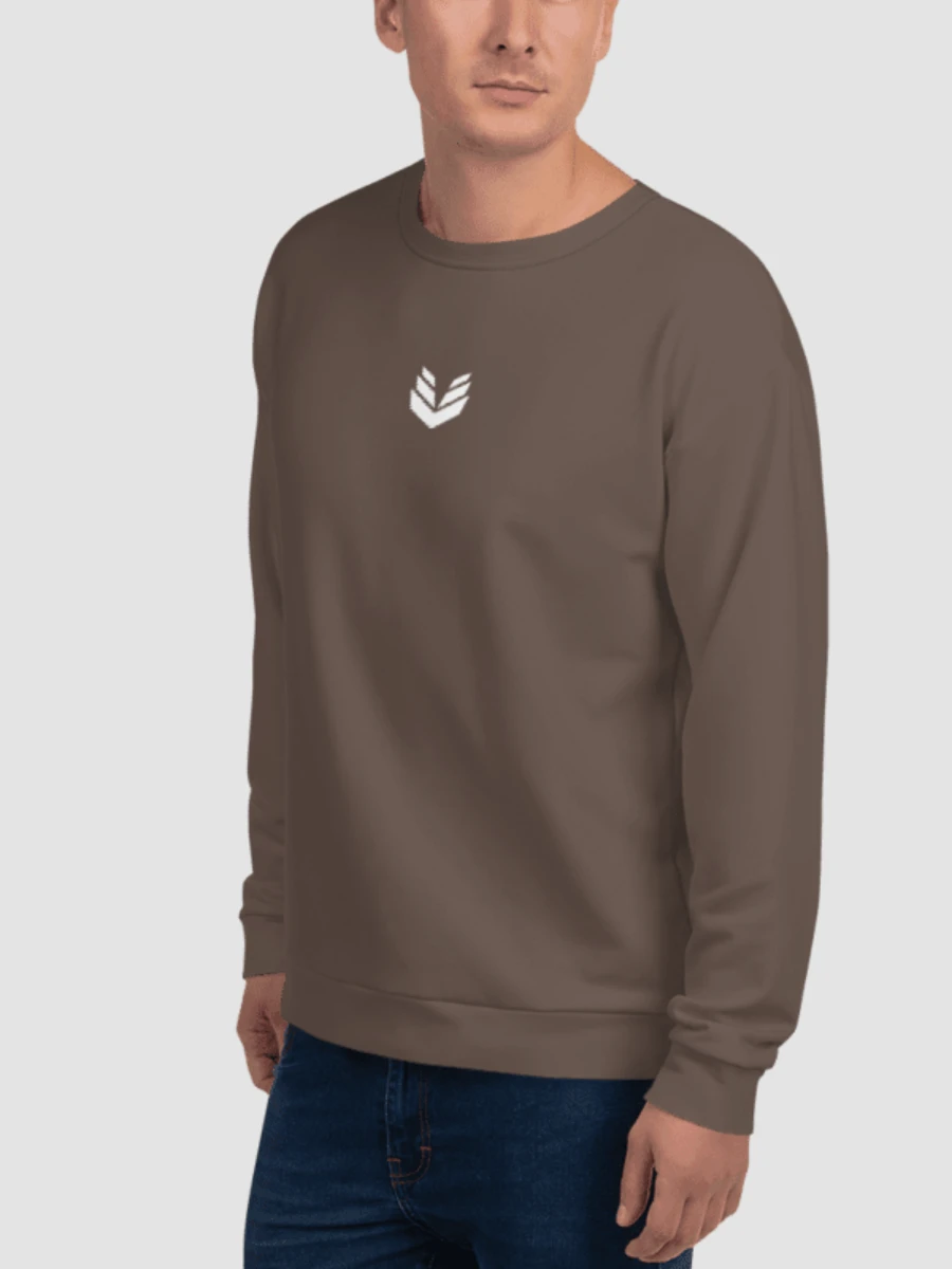 Sweatshirt - Mocha Mist product image (4)