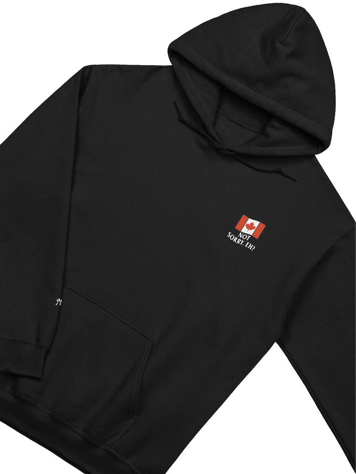 MT - "Unapologetically Canadian" Hoodie product image (30)