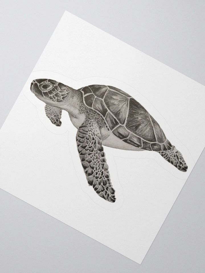 Turtle Drawing Sticker product image (5)
