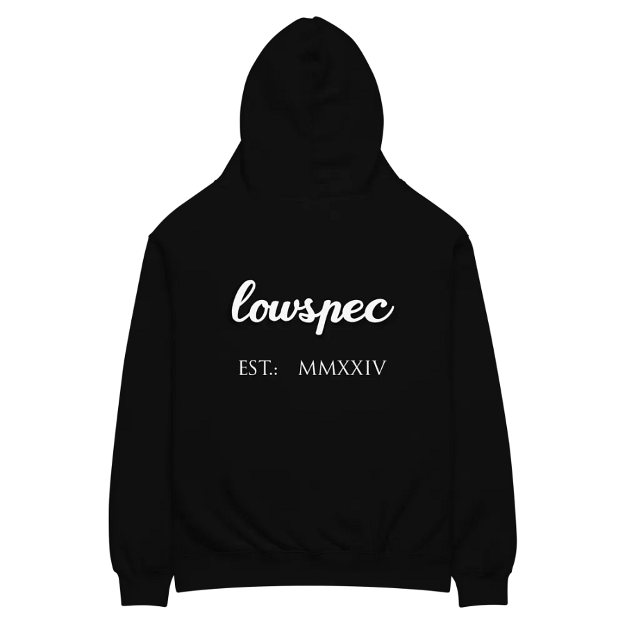 lowspec BLACKOUT Hoodie product image (3)