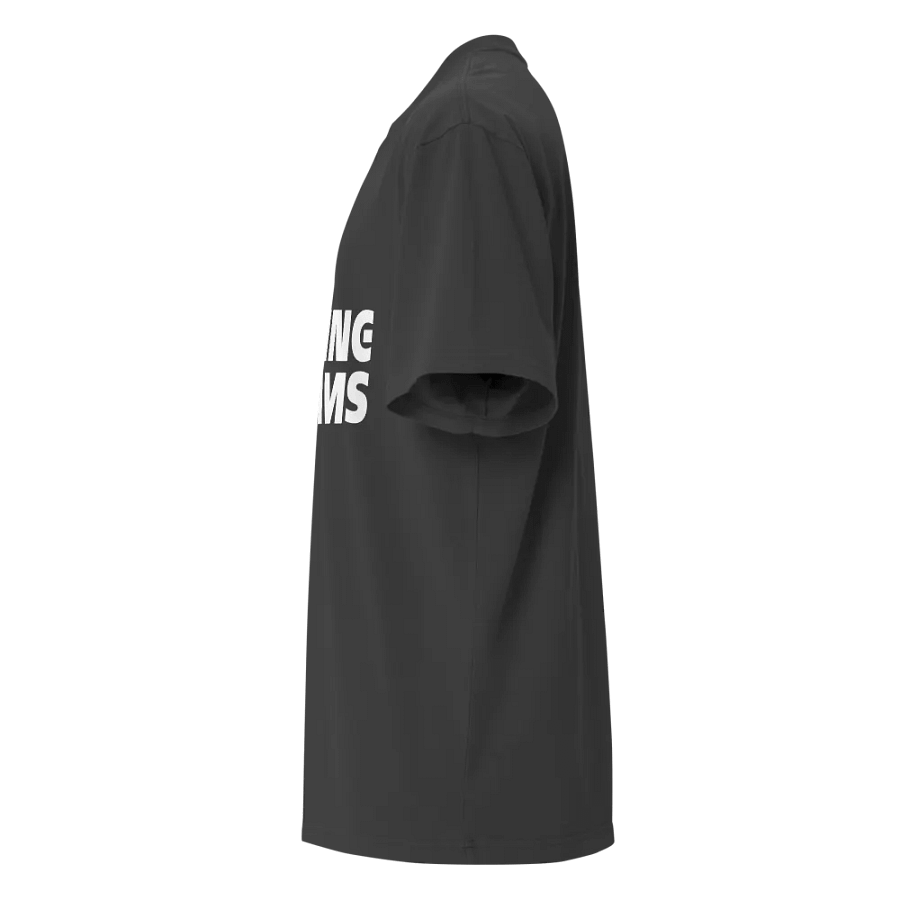 Chasing Dreams Premium Oversized Faded T-Shirt (white logo) product image (5)