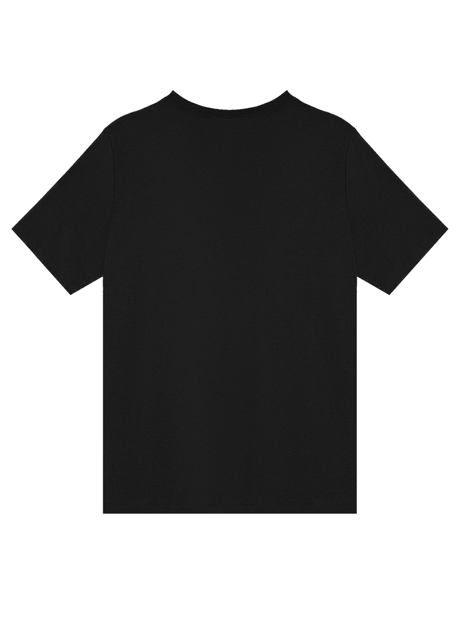 Mariners Compass Rose Women's V-Neck Tee product image (28)