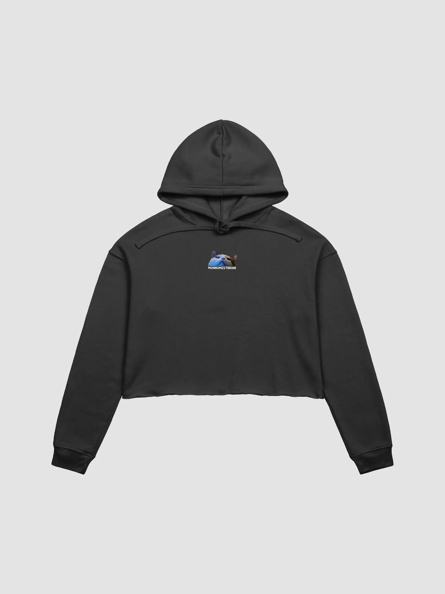CROP HOODIE - MONNOMESTBRIAN product image (1)