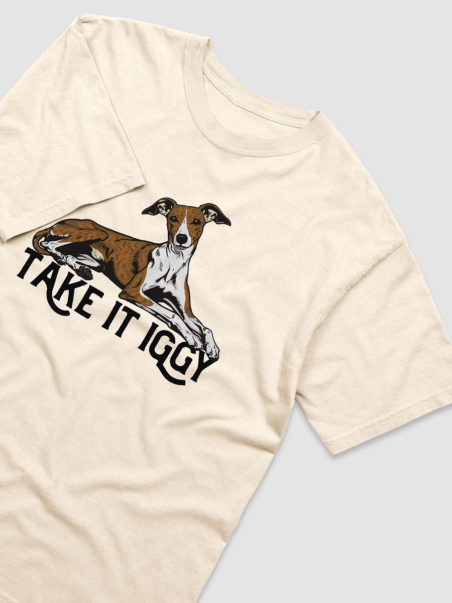 Take It Iggy T-Shirt of an Italian Greyhound (Brindle) | Funny T-Shirt for Iggy Paw-rents product image (21)