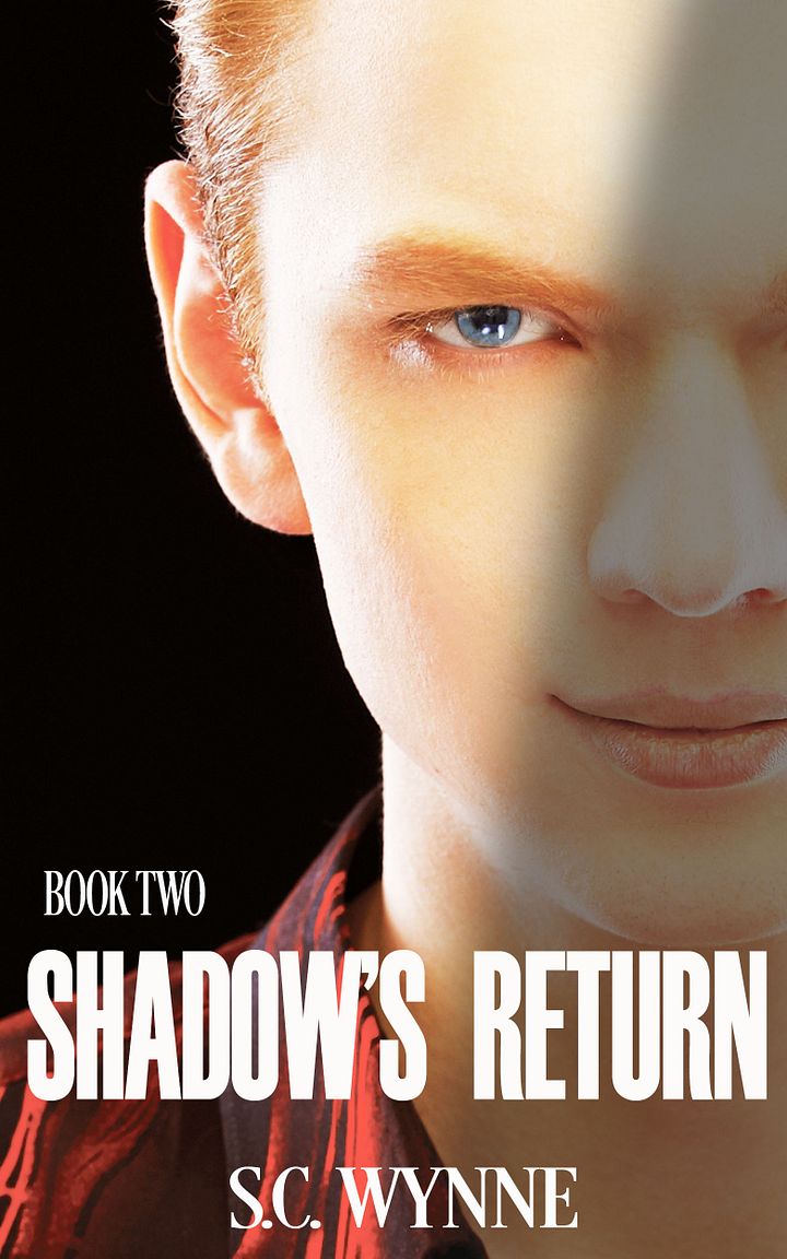 Shadow's Return: Psychic Detective Mysteries Book 2 product image (1)