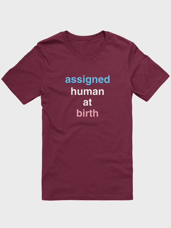 Assigned Human At Birth Trans T-Shirt product image (1)
