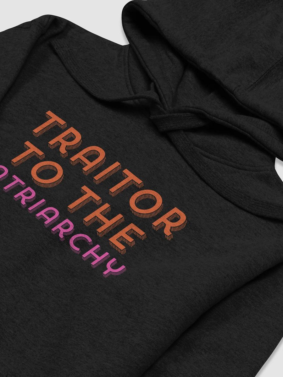 Traitor to the Patriarchy Hoodie product image (3)