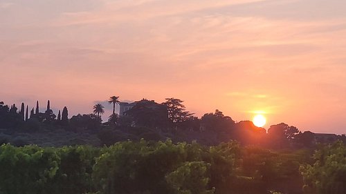Coucher de soleil sur le domaine de leoube
#goldenhour
