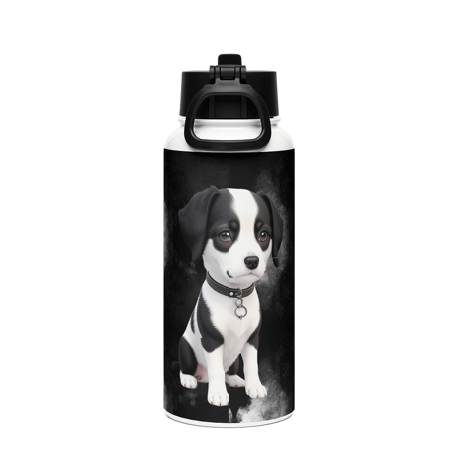 WallE Stainless Steel Water Bottle with a Straw Lid product image (2)