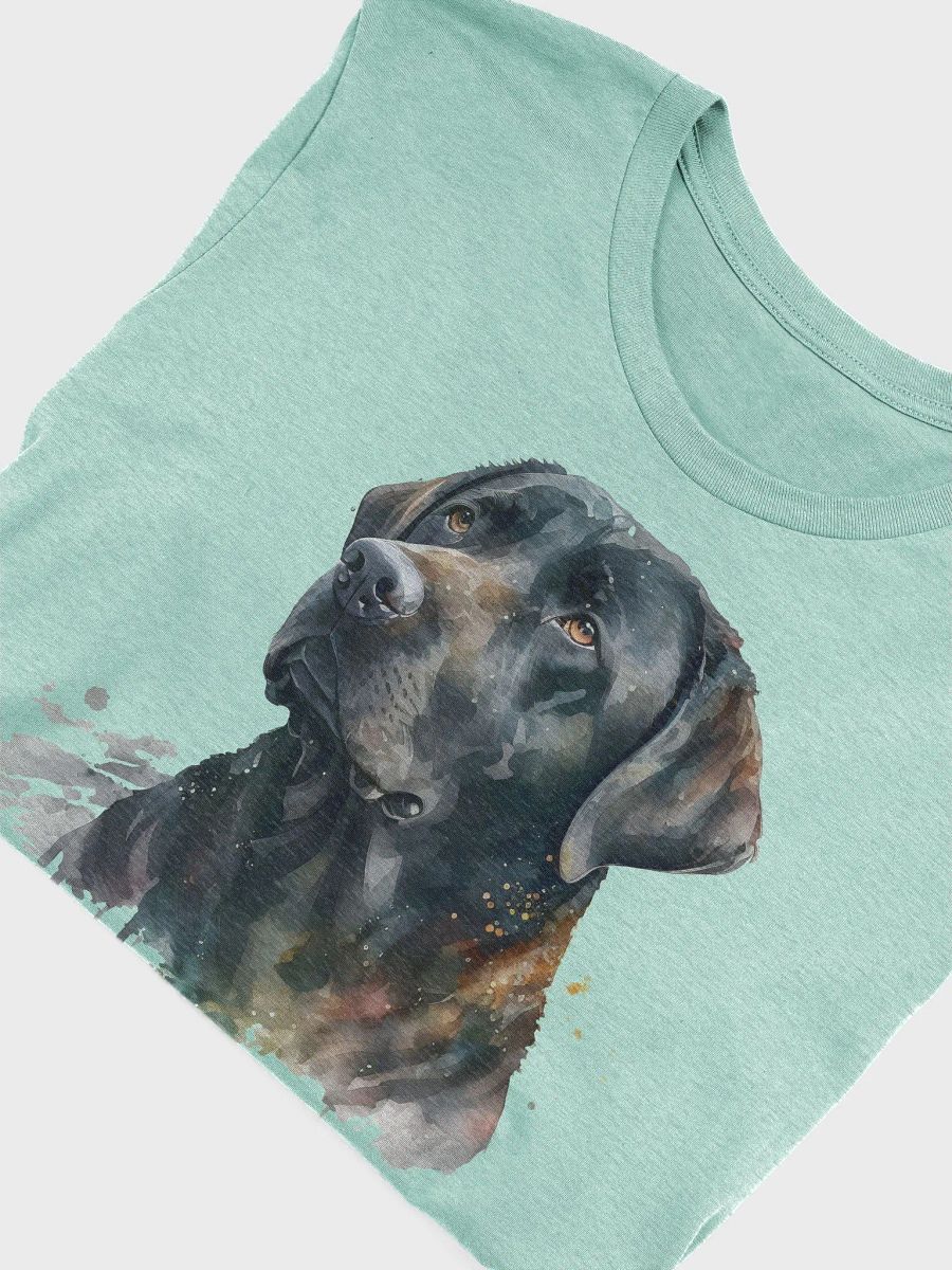 Black Lab product image (3)