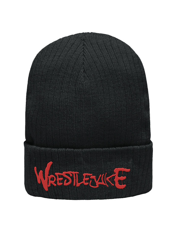 WRESTLEJUICE BEANIE product image (2)