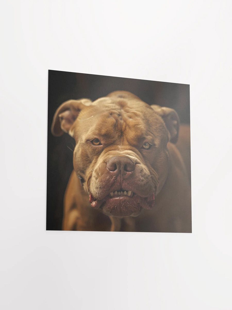 Mad Pitbull product image (13)