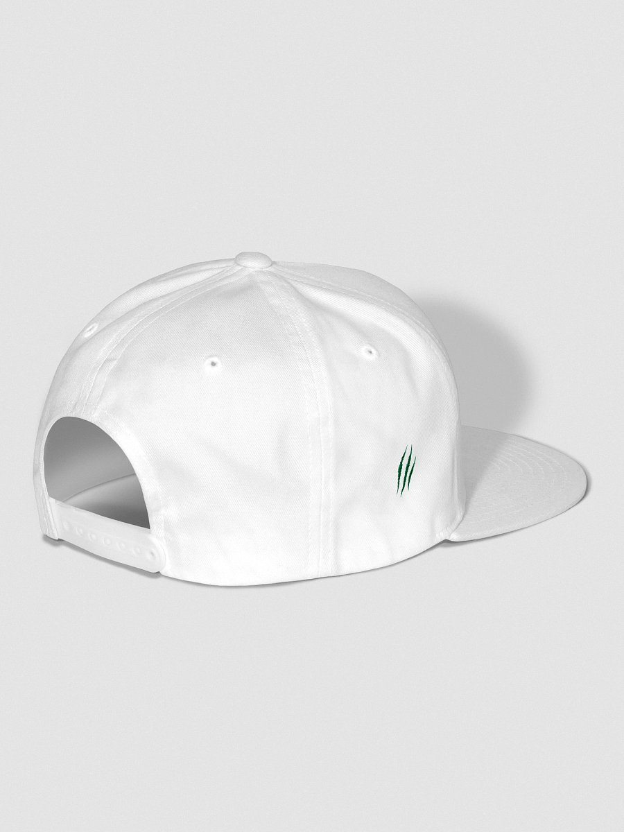 "Certified Poet" (Green Scars) Yupoong Flat Snapback Cap product image (3)