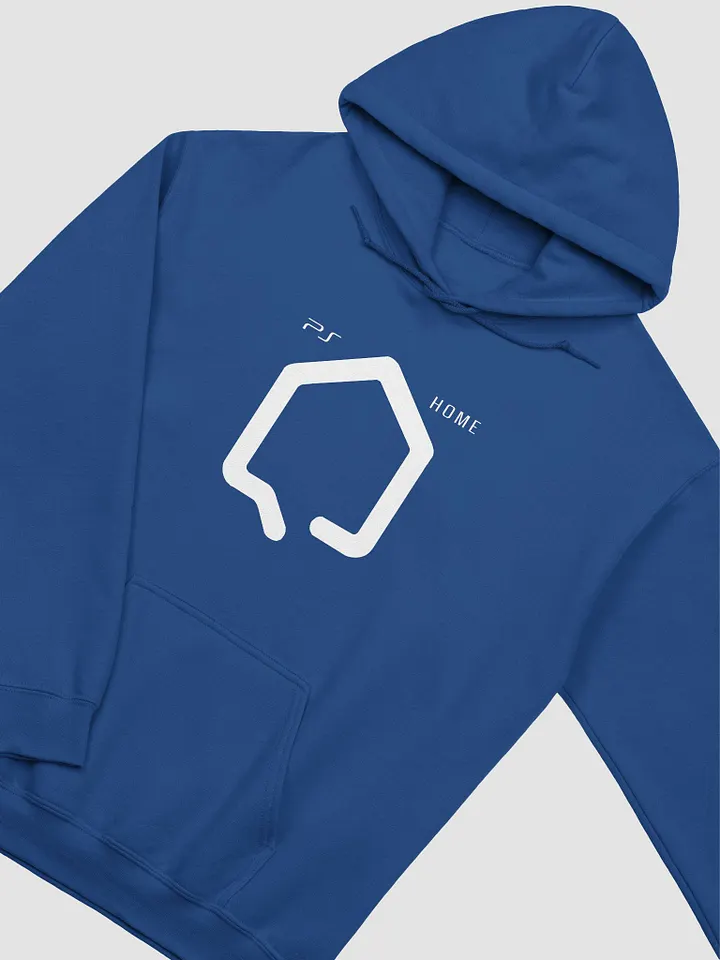 PLAYSTATION HOME - DARK ECO - HOODIE product image (2)