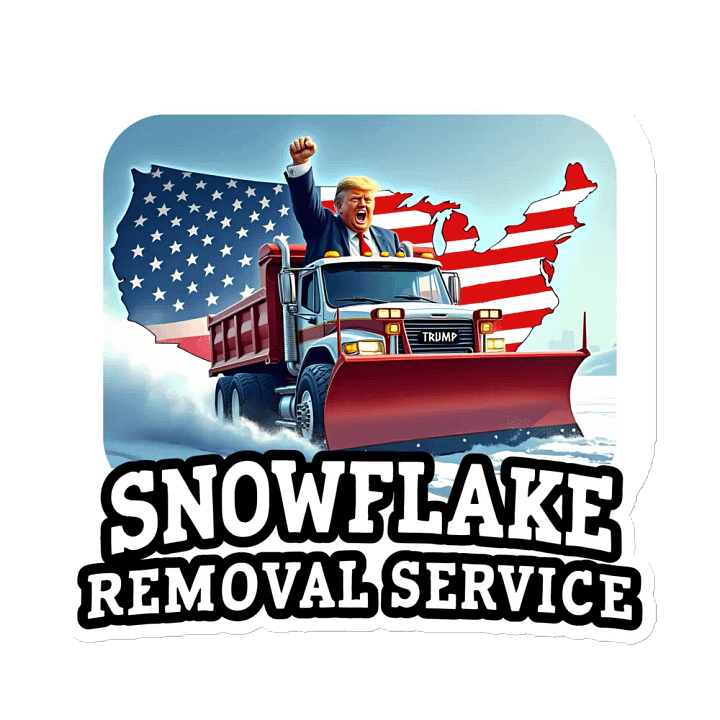 Magnet: Snowflake Removal product image (2)