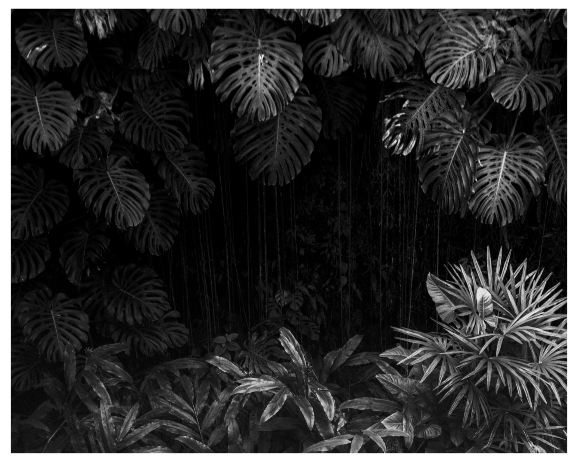 KAUMANA CAVES #01 product image (1)