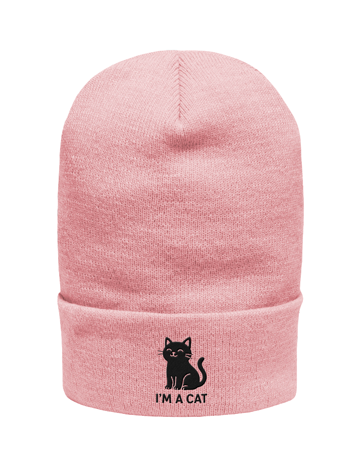 I'M A CAT BEANIE product image (1)