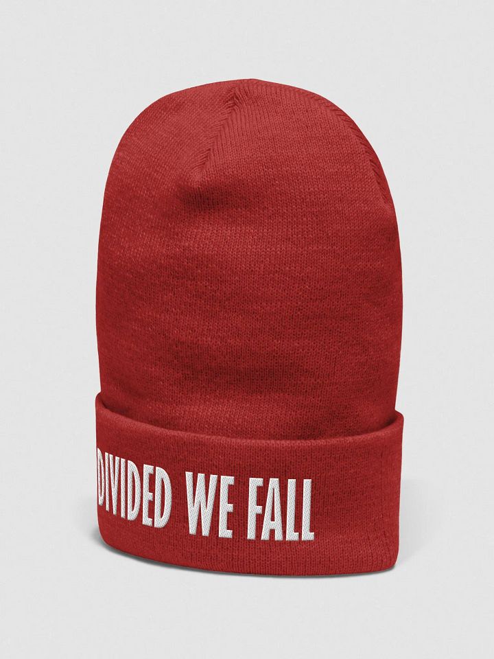 Divided We Fall - White - Yupoong Cuffed Beanie product image (2)