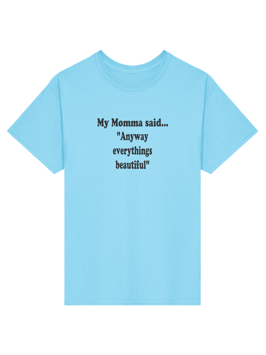Anyway Everything’s Beautiful shirt product image (2)