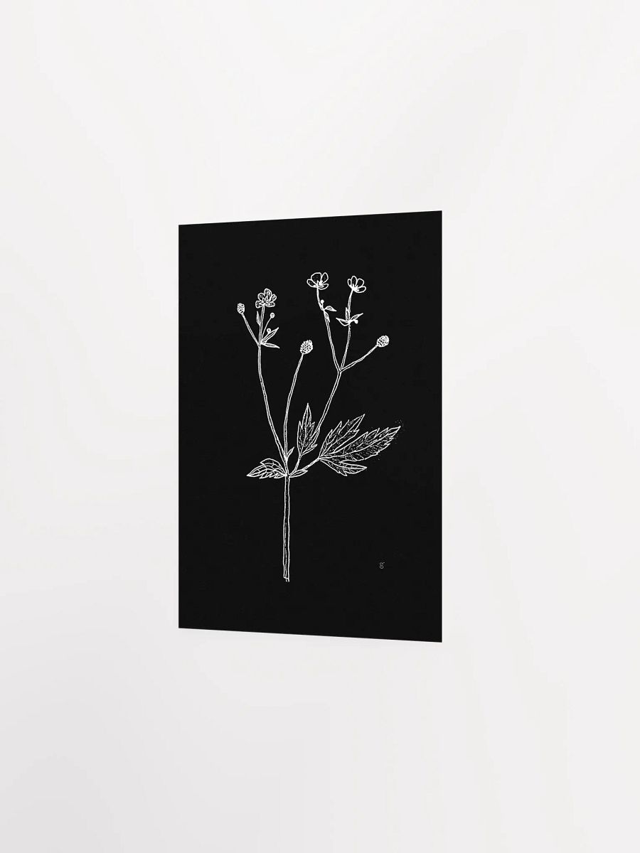 Botanical Bliss Matte Poster - Wild Flowers Dark Stylish product image (2)