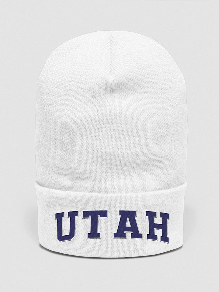 Utah Vintage Stylish Cuffed Beanie product image (2)