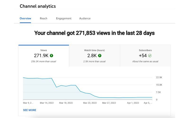 Video Monetization 50k Reach product image (1)