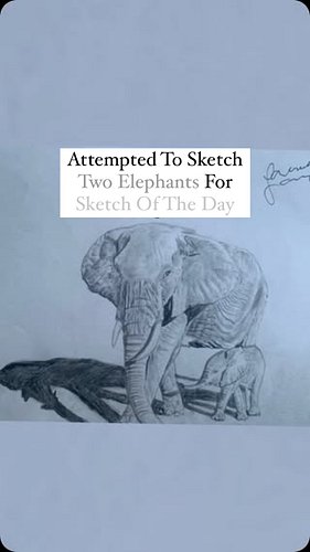 .
.
:
.
.
.
#sketchbook #drawingtechniques #portraitdrawingtips #bestdrawingtools #elephant #artprocess #howtodraw #sketchoft...