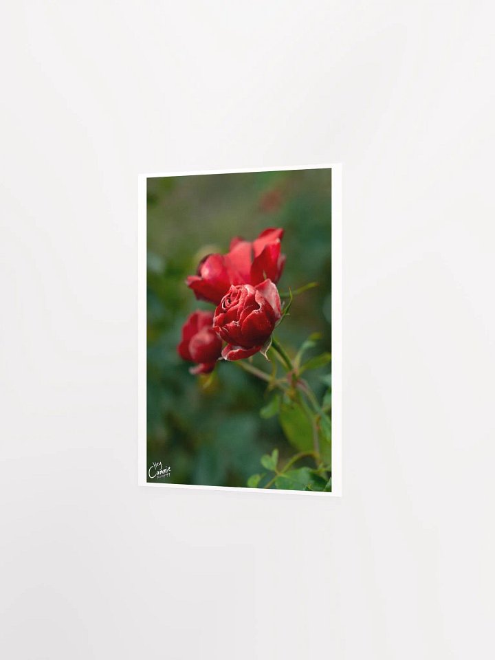 Red Like Roses - Print product image (2)