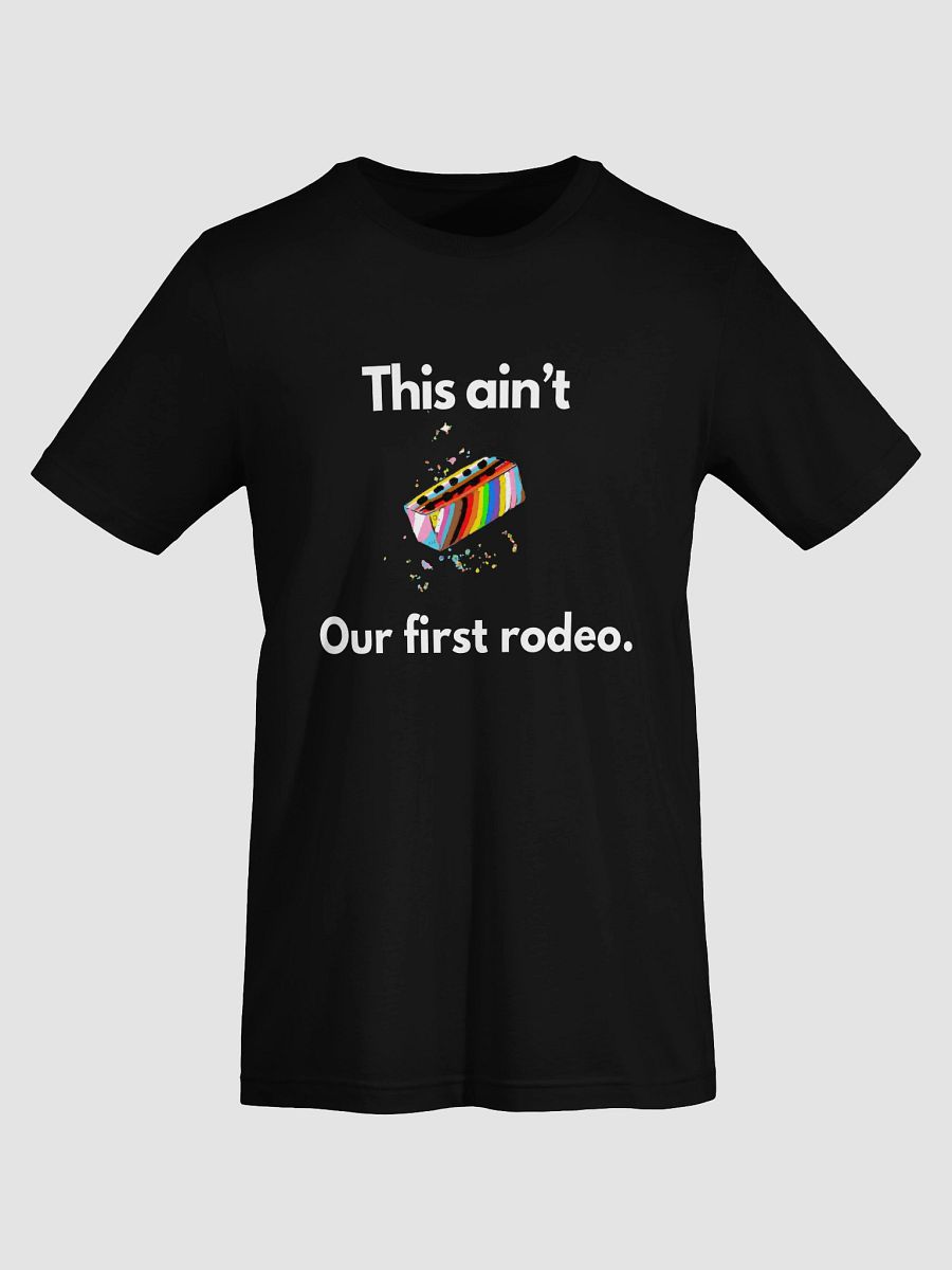 This ain't our first rodeo Tee product image (33)