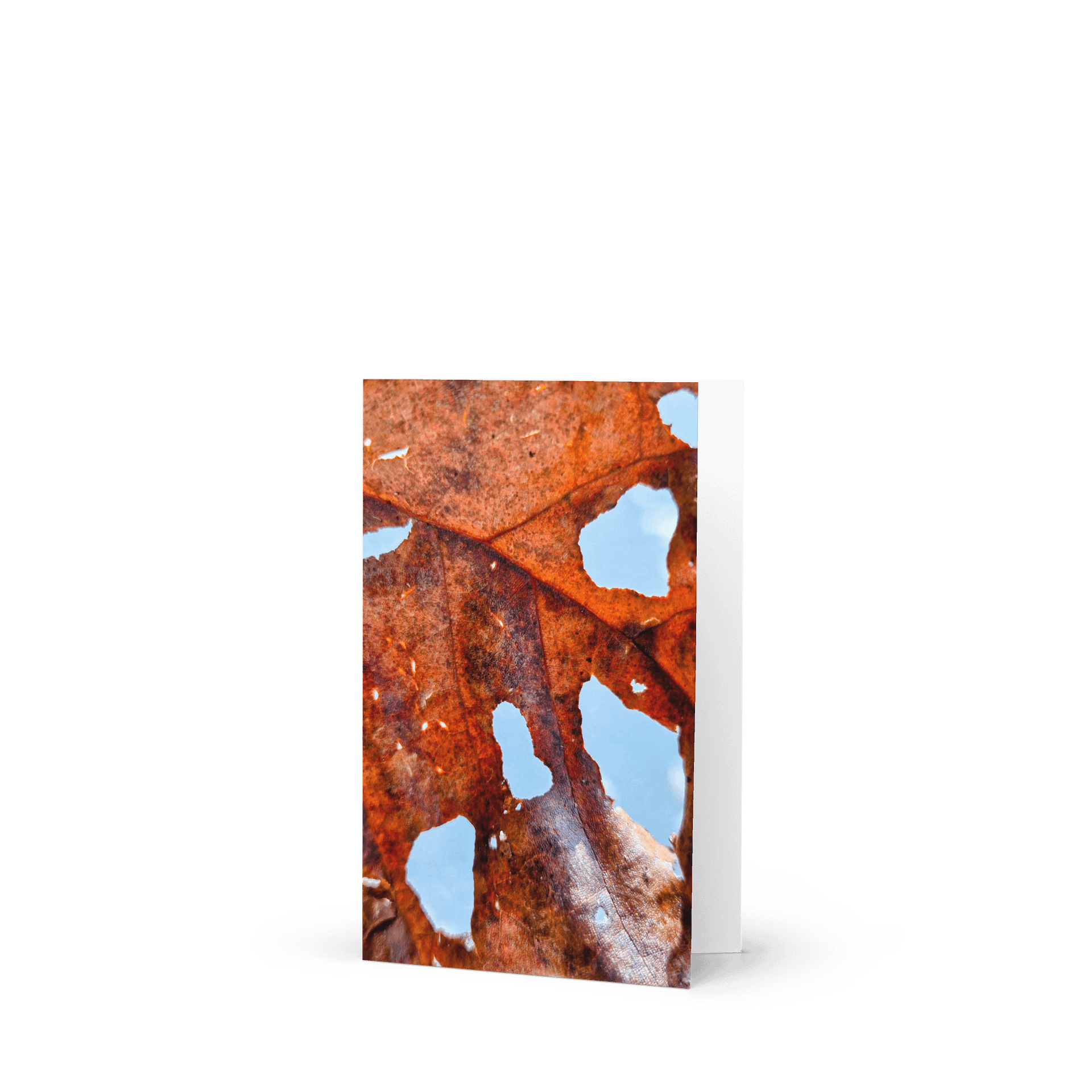 Intricate Veins Greeting Card (blank) product image (1)