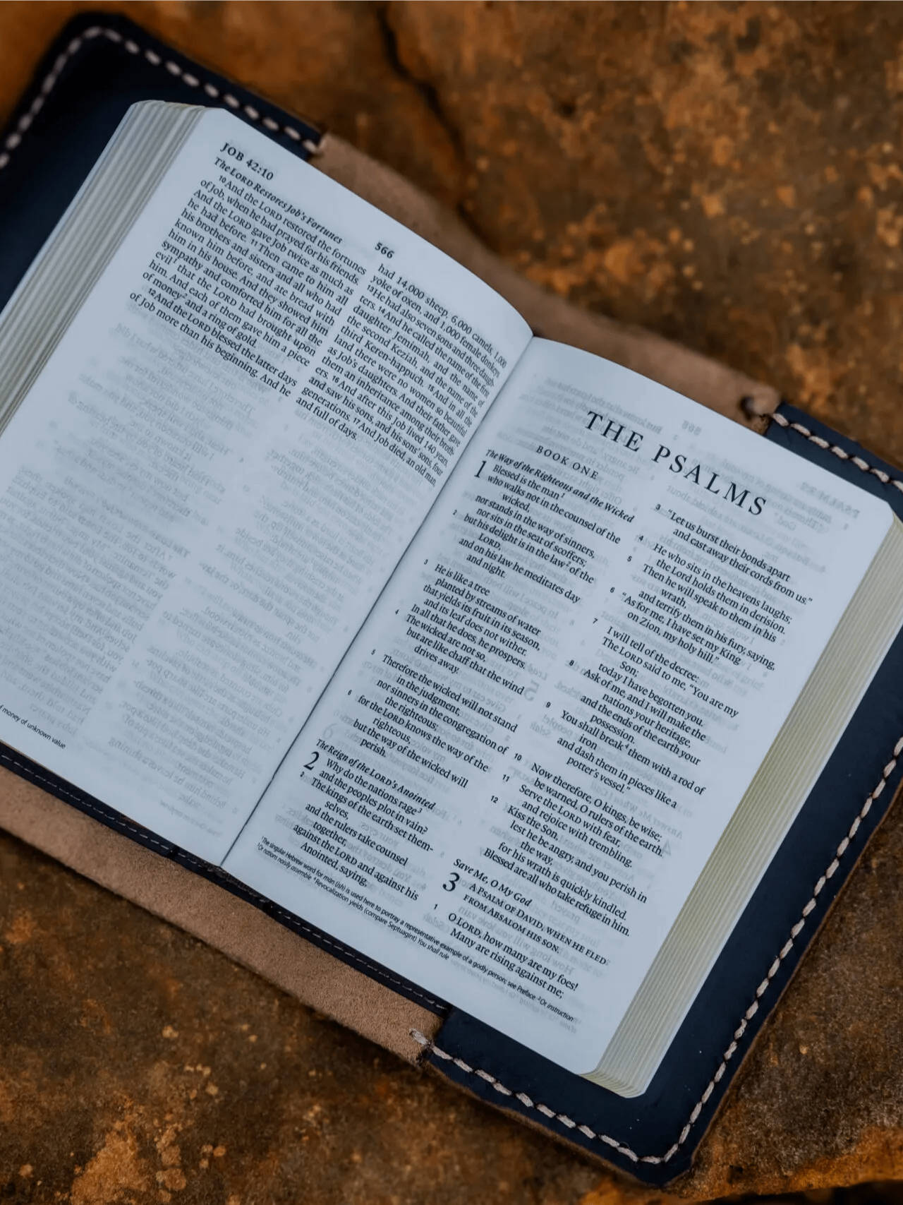 Worn Bible product image (5)