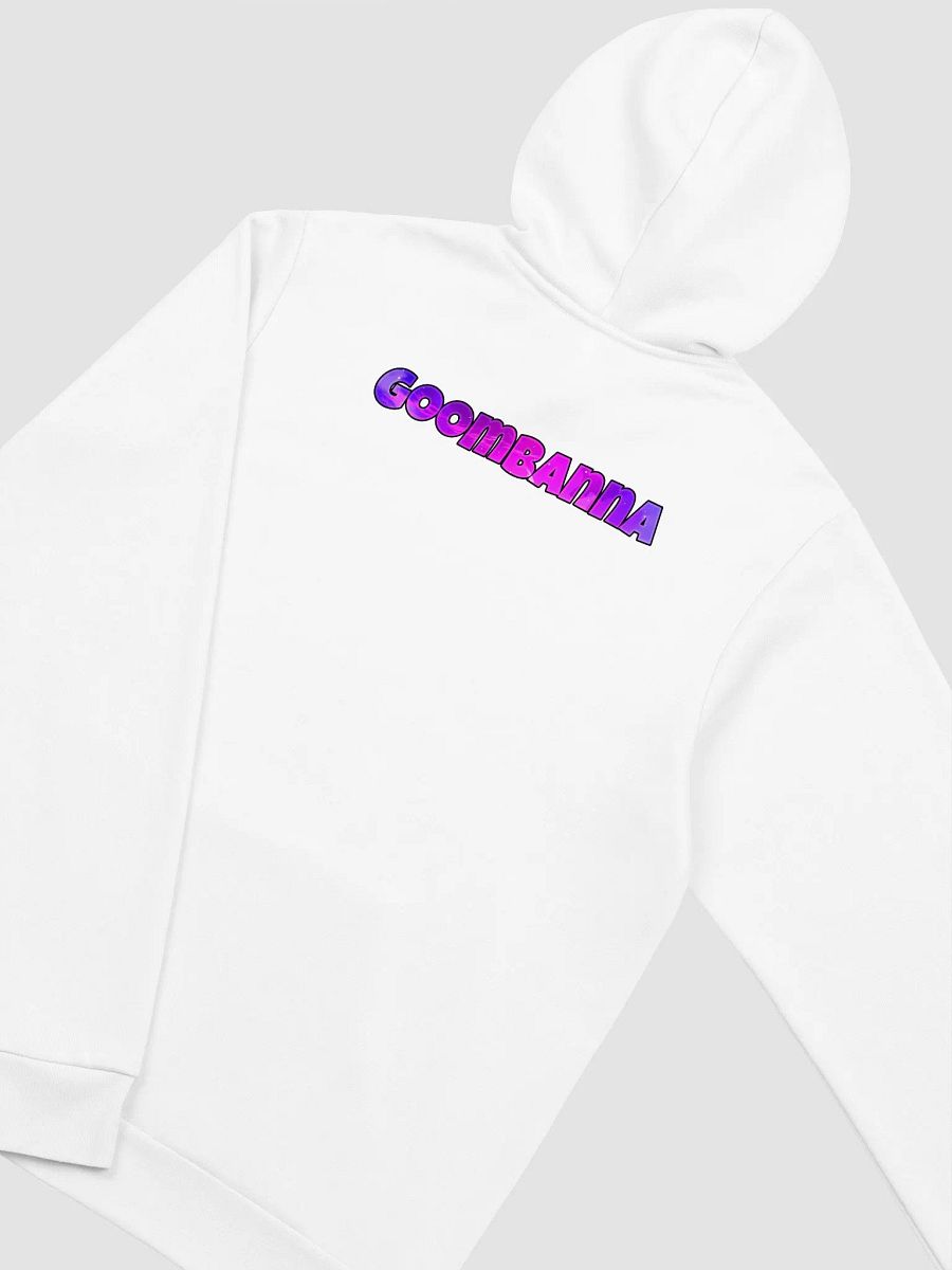 "Asking the Profoundly Ridiculous" hoodie w/o zipper product image (4)