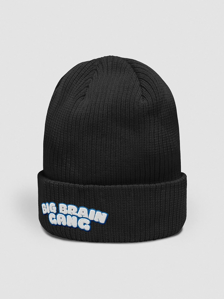 Big Brain Gang Embriodered Beanie product image (2)