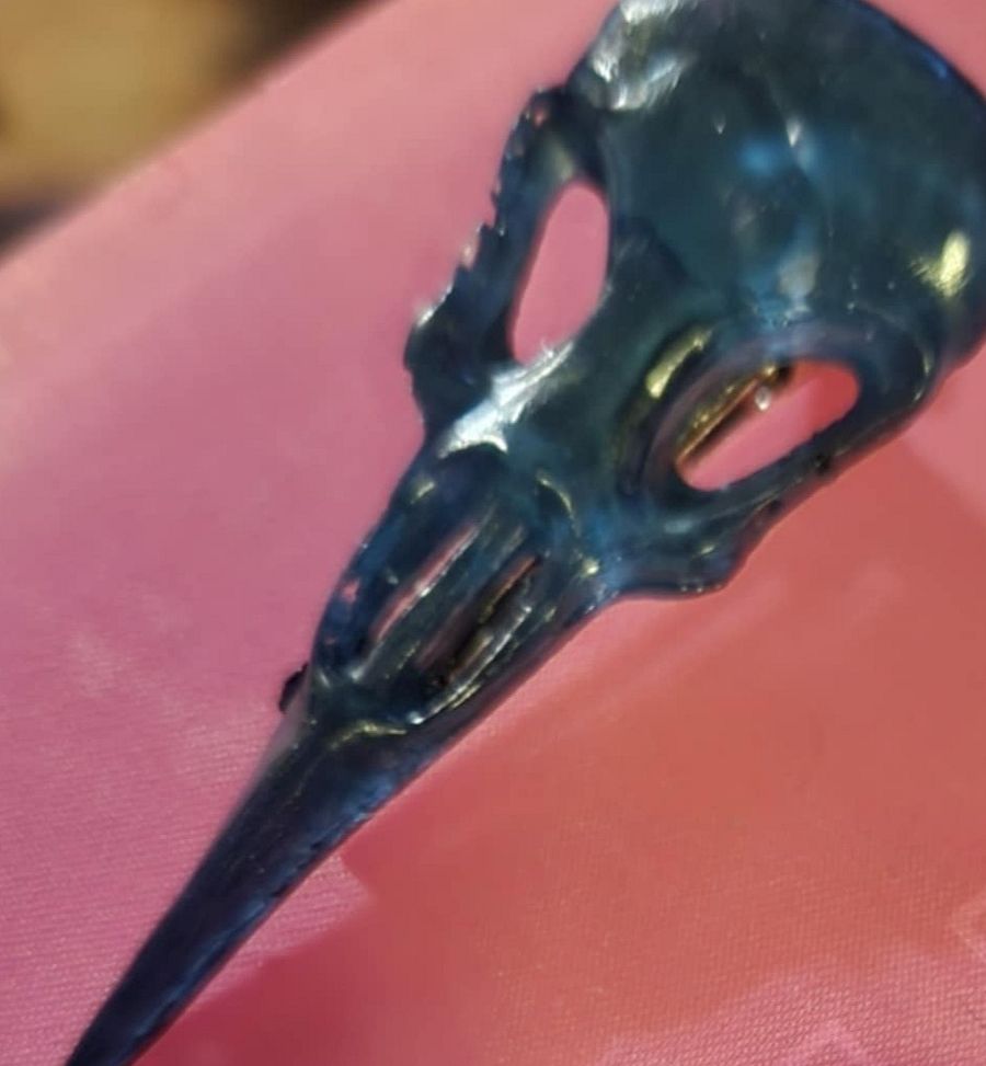 Resin bird skull hair clip product image (1)