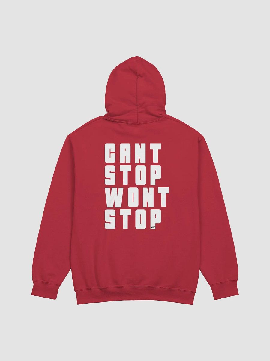 CSWS Stacked Hoodie product image (1)