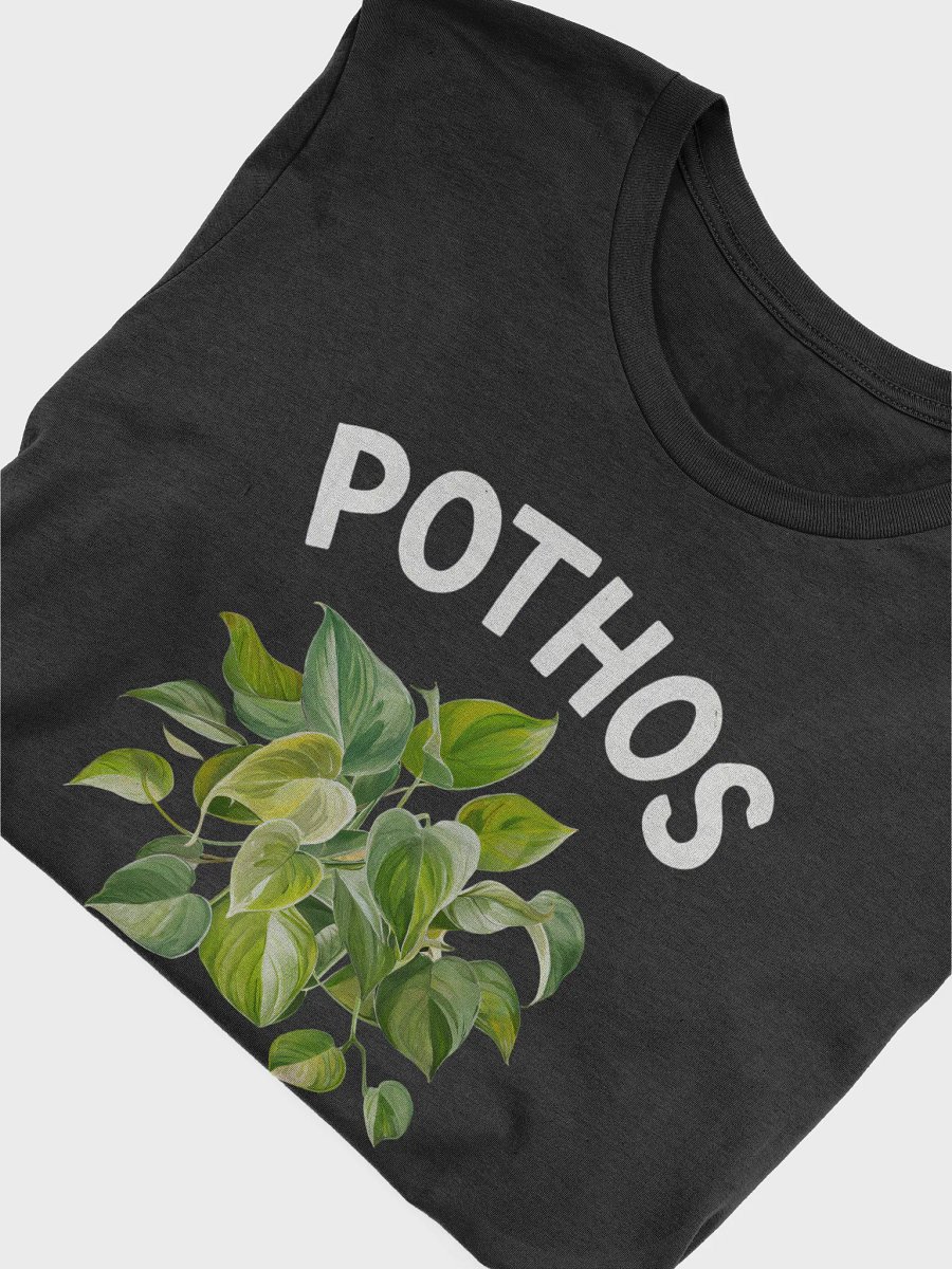 Pothos Club product image (24)