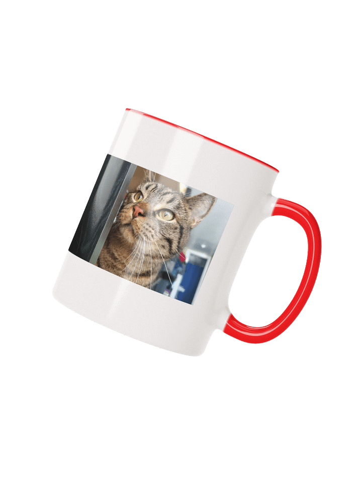 Gar Meow-cchiato Ceramic 11oz Mug 2 product image (17)