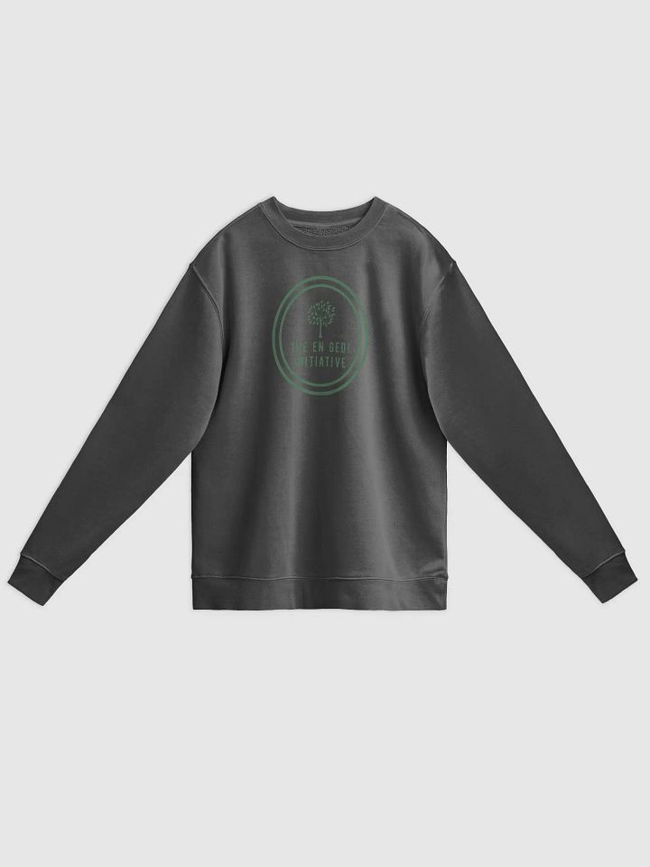 The En Gedi Initiative Logo Crew Neck product image (3)