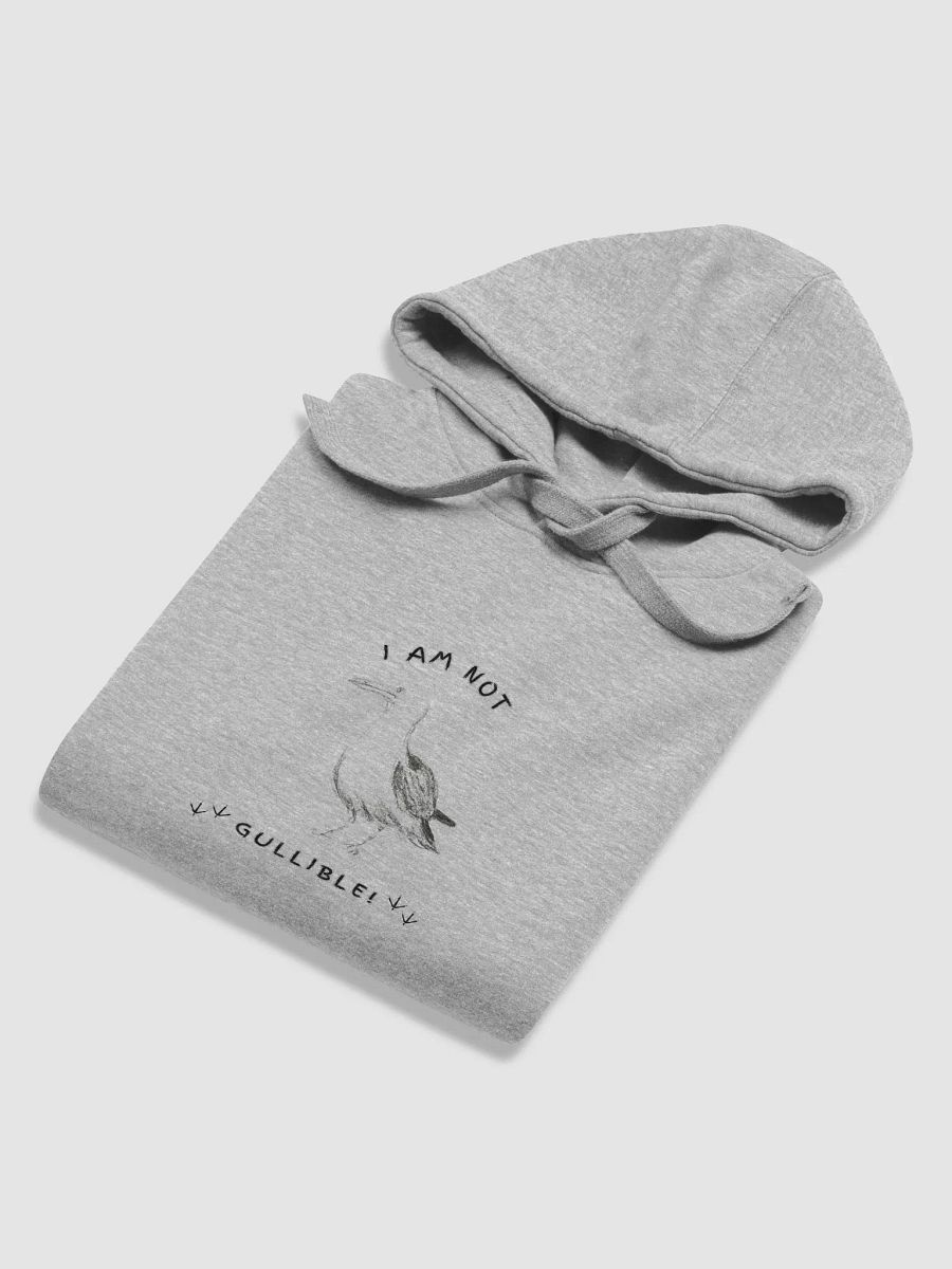 I am not Gullible Hoodie product image (11)