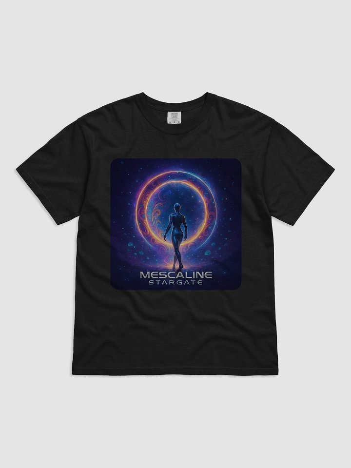 Mescaline Stargate Portal-Shift Tee | Garment-Dyed Heavyweight product image (3)