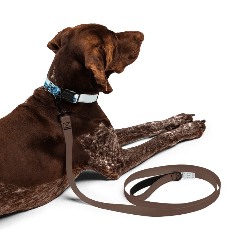 Collar product image (10)