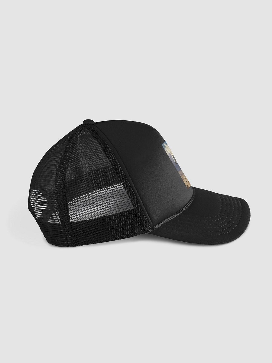 Pegasus product image (5)