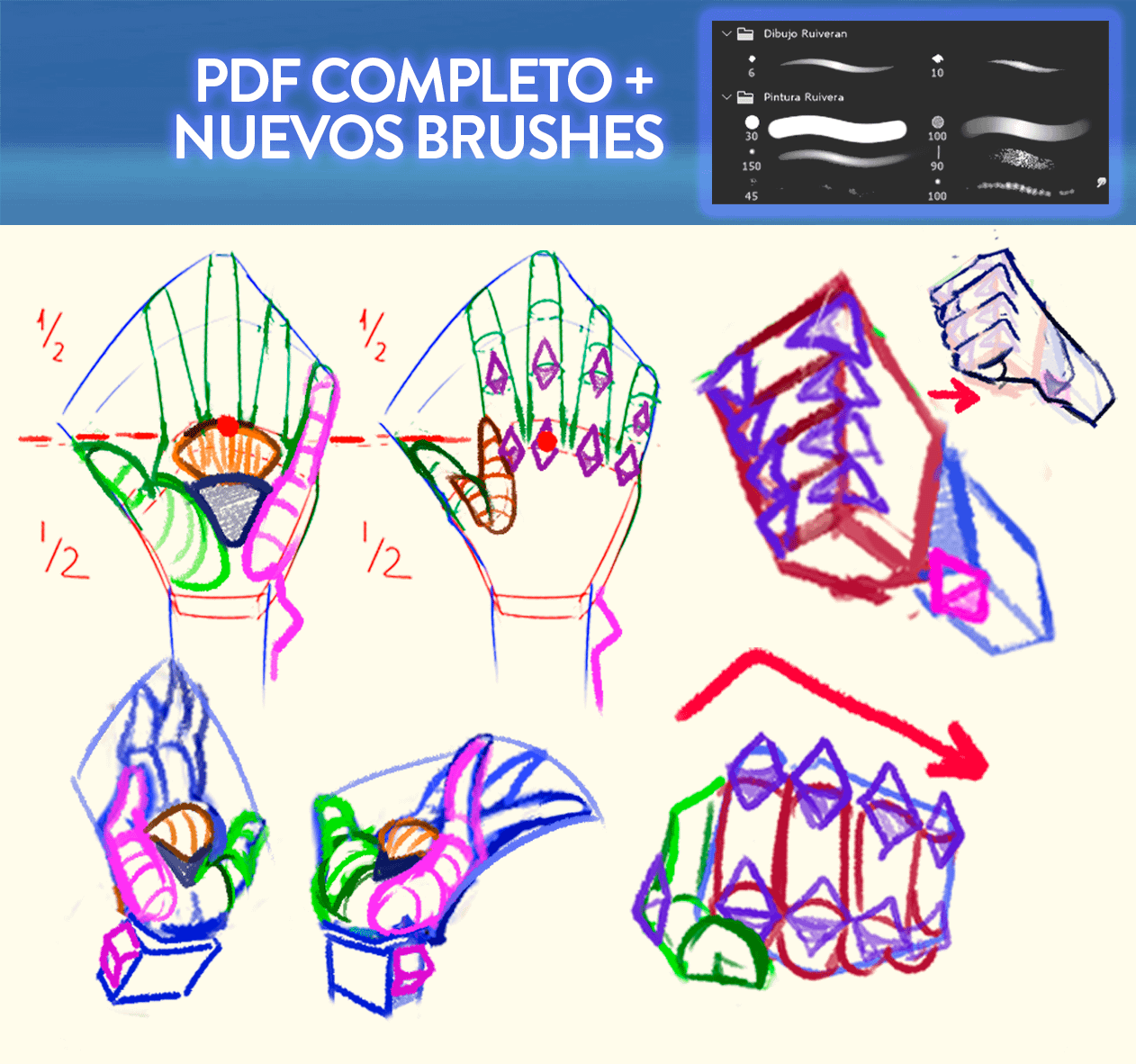 DIBUJA ANATOMÍA EN ACCIÓN (Full PDF)+ Pinceles 2025 + Rutina de Prácticas product image (5)
