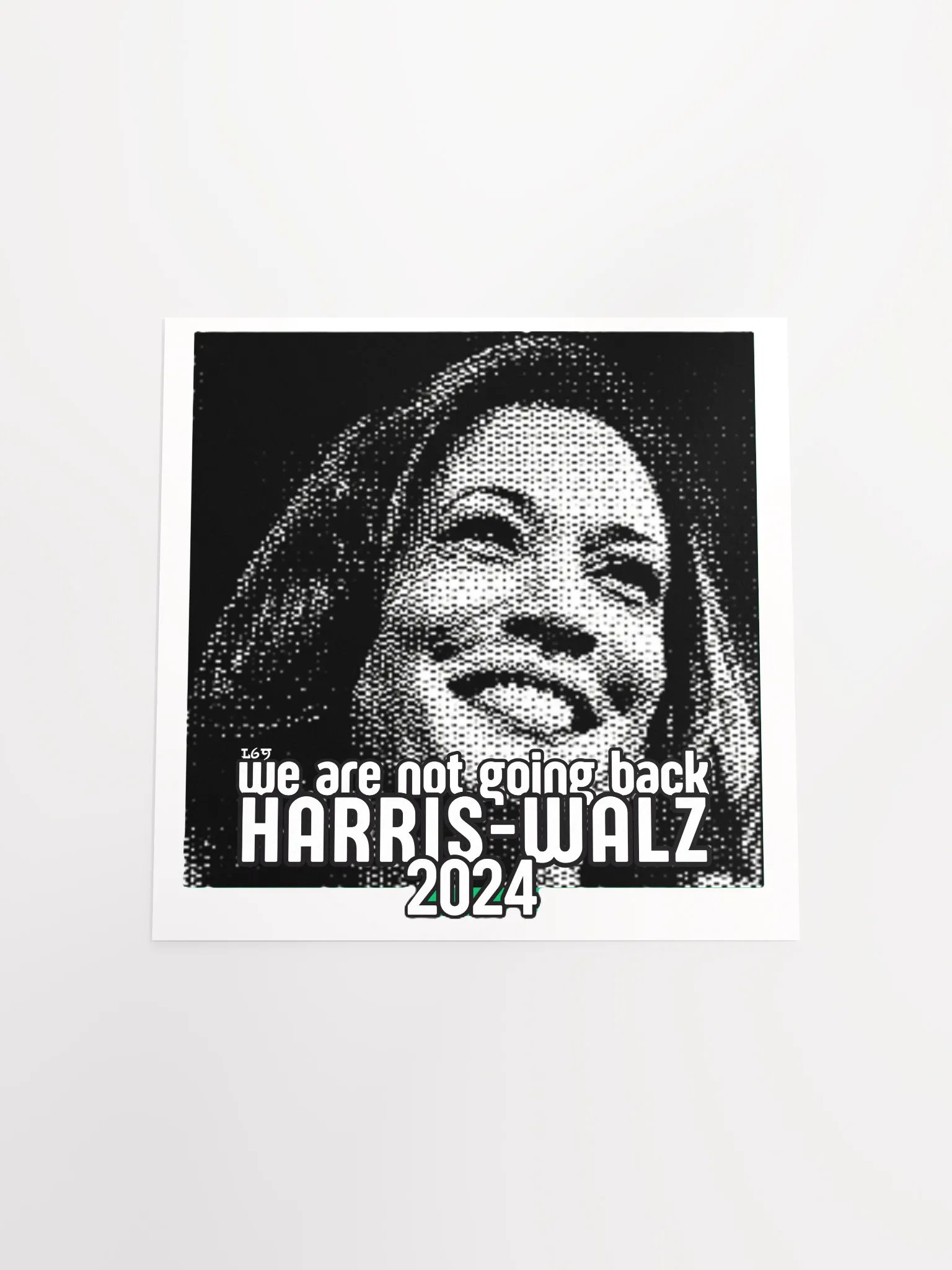 HARRIS-WALZ 2024 WE ARE NOT GOING BACK product image (19)